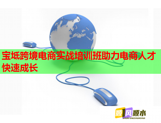 宝坻跨境电商实战培训班助力电商人才快速成长  第2张