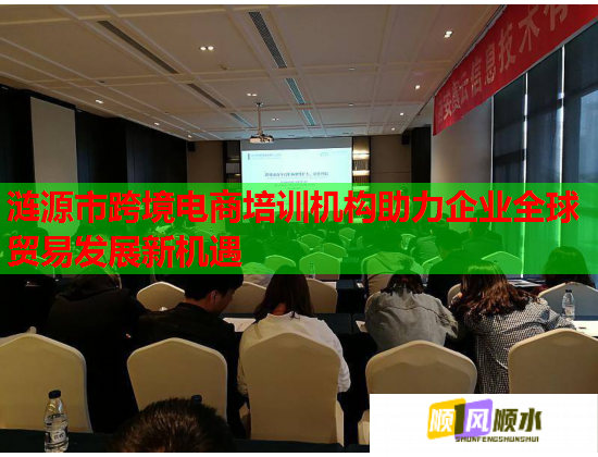 涟源市跨境电商培训机构助力企业全球贸易发展新机遇  第2张