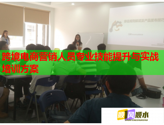 跨境电商营销人员专业技能提升与实战培训方案  第1张