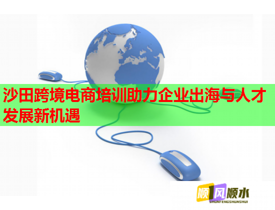 沙田跨境电商培训助力企业出海与人才发展新机遇  第2张