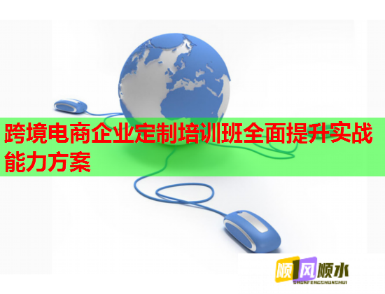 跨境电商企业定制培训班全面提升实战能力方案  第1张