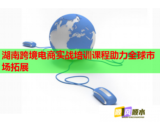 湖南跨境电商实战培训课程助力全球市场拓展  第1张