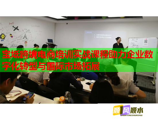 宝坻跨境电商培训实战课程助力企业数字化转型与国际市场拓展  第1张