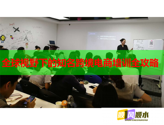 全球视野下的知名跨境电商培训全攻略  第1张