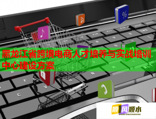 黑龙江省跨境电商人才培养与实战培训中心建设方案  第2张