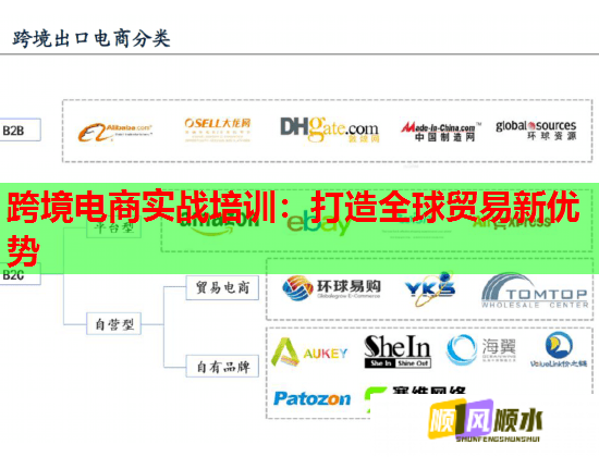 跨境电商实战培训：打造全球贸易新优势  第1张