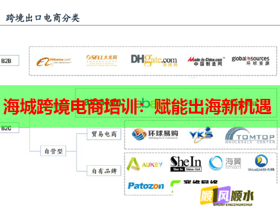 海城跨境电商培训：赋能出海新机遇  第1张