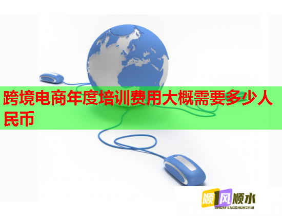 跨境电商年度培训费用大概需要多少人民币  第1张