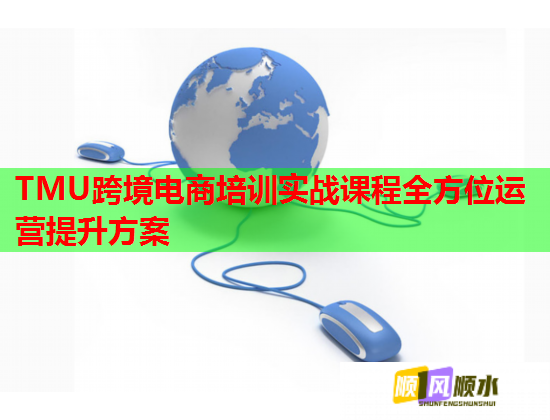 TMU跨境电商培训实战课程全方位运营提升方案  第1张