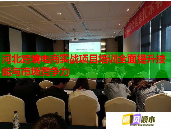 河北跨境电商实战项目培训全面提升技能与市场竞争力  第1张
