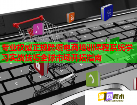 专业权威正规跨境电商培训课程系统学习实战技巧全球市场开拓指南  第2张