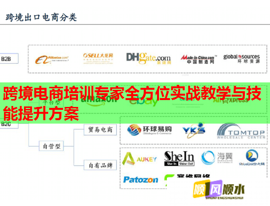 跨境电商培训专家全方位实战教学与技能提升方案  第2张