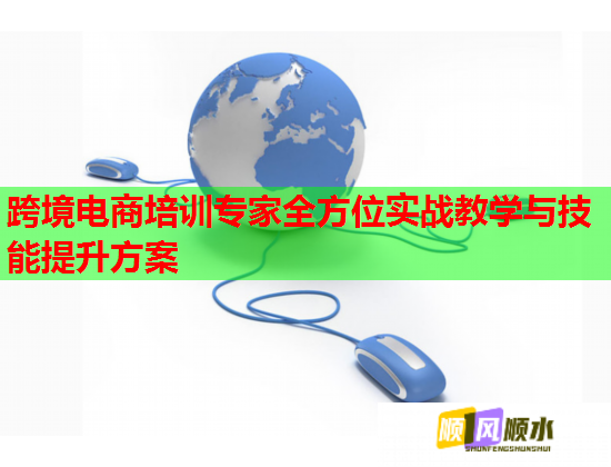 跨境电商培训专家全方位实战教学与技能提升方案  第1张