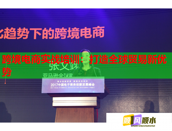 跨境电商实战培训：打造全球贸易新优势  第1张