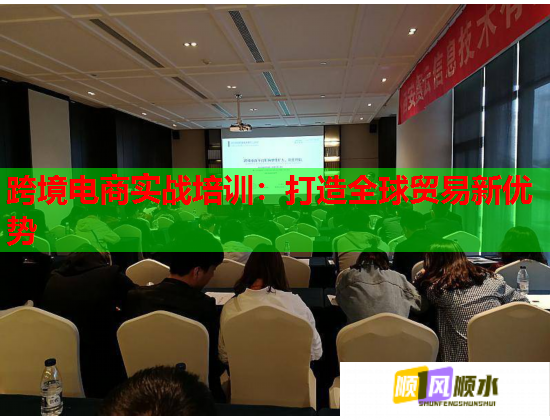 跨境电商实战培训：打造全球贸易新优势  第3张
