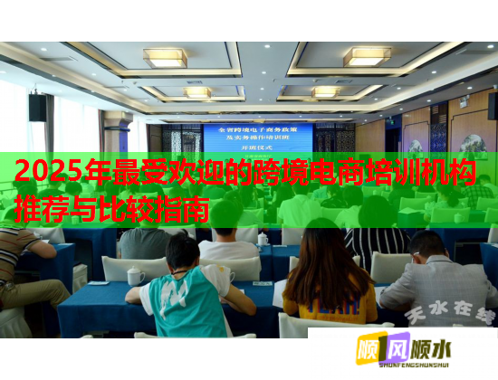 2025年最受欢迎的跨境电商培训机构推荐与比较指南  第1张