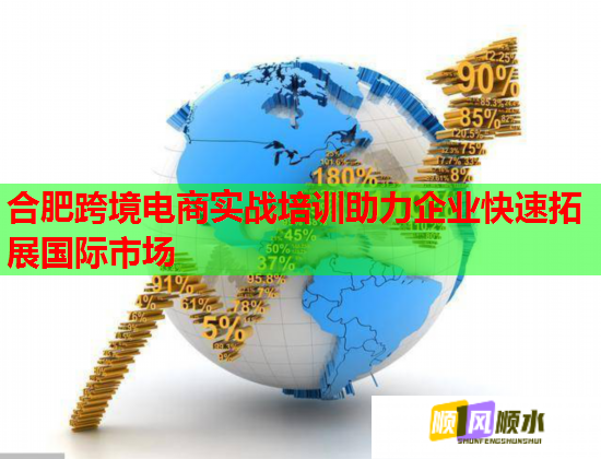 合肥跨境电商实战培训助力企业快速拓展国际市场  第1张