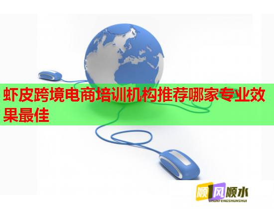 虾皮跨境电商培训机构推荐哪家专业效果最佳  第1张