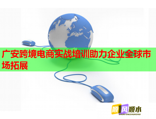 广安跨境电商实战培训助力企业全球市场拓展  第2张
