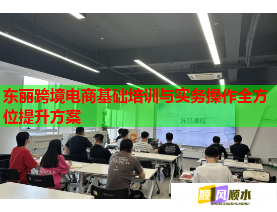 东丽跨境电商基础培训与实务操作全方位提升方案  第1张