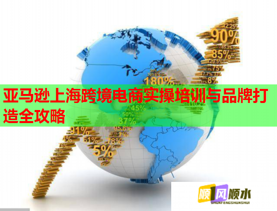 亚马逊上海跨境电商实操培训与品牌打造全攻略  第3张