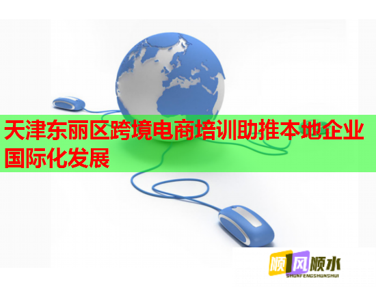 天津东丽区跨境电商培训助推本地企业国际化发展  第1张
