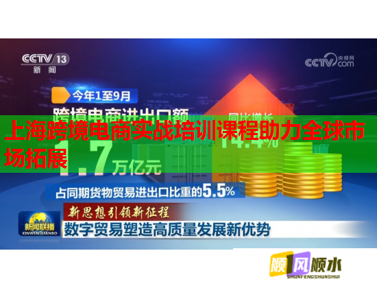 上海跨境电商实战培训课程助力全球市场拓展  第1张