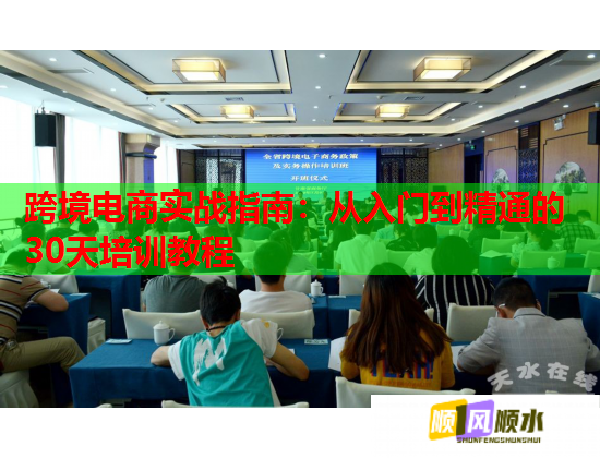 跨境电商实战指南：从入门到精通的30天培训教程  第1张