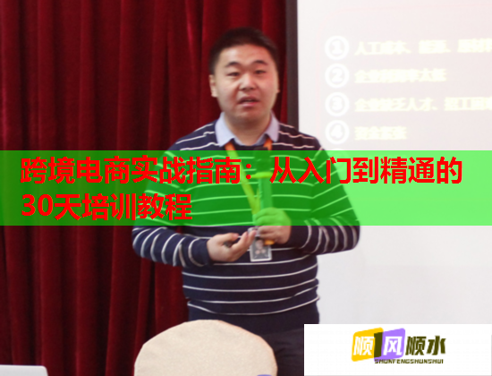 跨境电商实战指南：从入门到精通的30天培训教程  第2张
