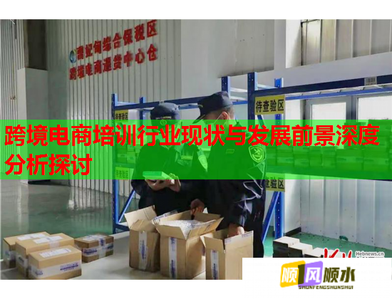 跨境电商培训行业现状与发展前景深度分析探讨  第1张