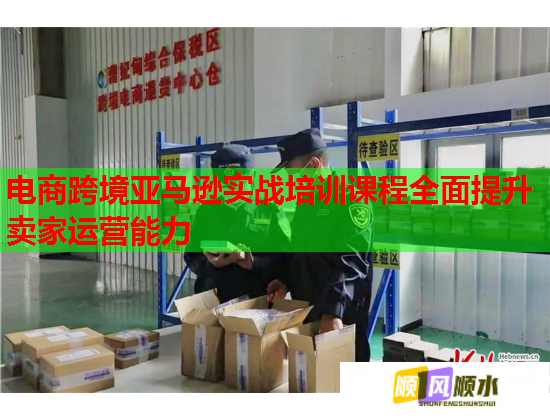 电商跨境亚马逊实战培训课程全面提升卖家运营能力  第2张