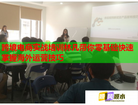 跨境电商实战培训林凡带你零基础快速掌握海外运营技巧  第2张